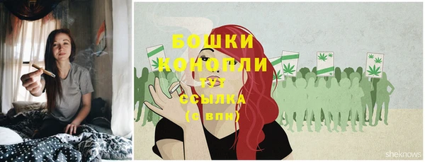 стафф Дмитров