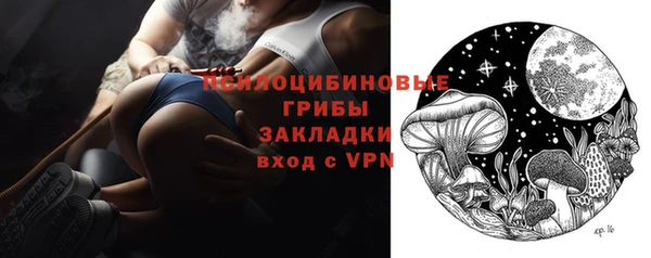 мяу мяу мука Дмитриев