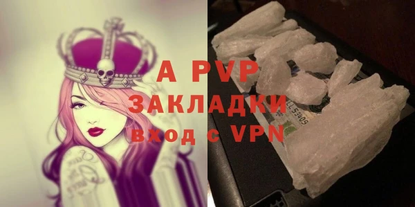 мяу мяу мука Дмитриев