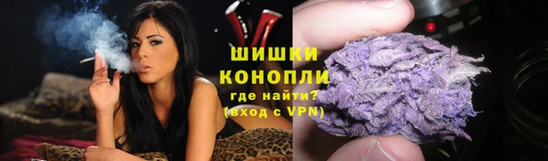 мяу мяу мука Дмитриев
