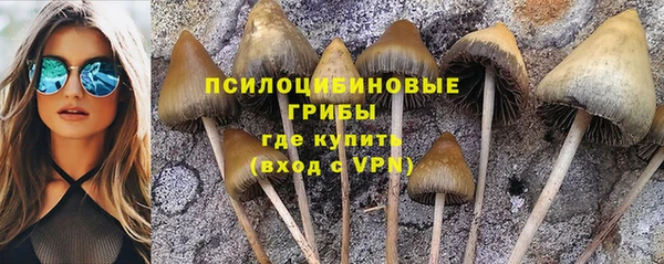 мяу мяу мука Дмитриев