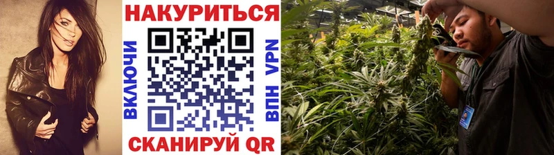 Купить где  Кемерово  Каннабис индика 
